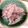 さちきち！'s cooksnap of when they made 可愛い桜色♡ゆかり大根サラダ.