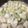 らっち☆☆☆'s cooksnap of when they made 鶏むねと白菜のガラムマサラ炒め.