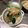 ta2o's cooksnap of when they made ブロッコリーと豚肉炒めの淡雪あんかけ.