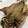 クックGFY8CA☆'s cooksnap of when they made アジの干物の揚げたん ★ おばんざい.
