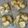 クックGFY8CA☆'s cooksnap of when they made 柚子の保存法♪私流(^^ゞ.