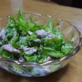 鳥だーいすき's cooksnap of when they made わさび菜のツナサラダ.