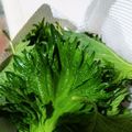 ふぁんたにゃん's cooksnap of when they made 大葉を上手に保存して無駄なく.