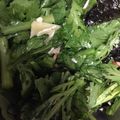 airflip_6's cooksnap of when they made 絶品！！　みんな喜ぶご馳走　春菊サラダ.