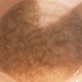 麦麦☆'s cooksnap of when they made 簡単！ご飯で作る甘酒.
