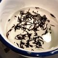 ちゃぴ♥'s cooksnap of when they made 離乳食 ひじき 下処理はとても大事.