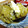 creeeampan's cooksnap of when they made 簡単☆ほくほくメープル焼きいも.