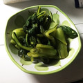 ロイヤルミルク♪'s cooksnap of when they made 小松菜の浅漬け【作り置き】.