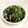 みりんこ♡'s cooksnap of when they made もやしとほうれん草の塩昆布あえ.