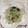 ぽぽきゅ's cooksnap of when they made あっさりもやしの和えもの.