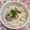 ぽぽきゅ's cooksnap of when they made イカの缶詰で☆炊き込みご飯.