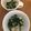 よーちゃんちゃん☆'s cooksnap of when they made (σ・∀・)σ 麺つゆで「茶わん蒸し」.