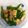クックP5PU6X☆'s cooksnap of when they made ■糖質制限■牛肉ピーマン高野豆腐簡単炒め.
