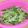 きらり流れ星's cooksnap of when they made 豆苗レンジボイル.