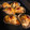 かわいいおやつ's cooksnap of when they made ツナと玉ねぎのマフィン.