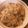しろうま123's cooksnap of when they made あみ大根（覚書）.