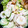tamama1102's cooksnap of when they made ちくわと胡瓜のツナマヨ和え.