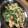 クックR9QJIM☆'s cooksnap of when they made 豚肉と水菜のからし和え.