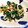 kaokaofood's cooksnap of when they made 大根の皮と春菊のガーリックオイル炒め.