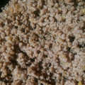 ふぁんたにゃん's cooksnap of when they made 甘くない！しょうが醤油のそぼろ丼.