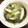 MEGU☆M's cooksnap of when they made 豆苗と長ネギと椎茸の中華スープ.