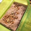 キュキュットさん's cooksnap of when they made レンジでおからパウダーのガトーショコラ.