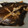 まぁりちゃ's cooksnap of when they made 10分で簡単にできる煮魚　かれいの煮付.