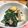 中級者ママ's cooksnap of when they made ちぢみほうれん草のハムゆで卵サラダ.