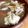 九尾の黒狐's cooksnap of when they made 鶏肉と野菜の塩麹炒め.