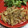 chi−ちゃん's cooksnap of when they made 豚の生姜焼き大根（黒胡椒風味）.