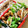 LimeLunch's cooksnap of when they made 捨てないで！大根の皮と豚バラの焼肉炒め*.