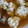R2mkt's cooksnap of when they made だだみ（タラの白子）のめんつゆ煮.