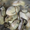 レイアのマム's cooksnap of when they made レンジで簡単　蒸しかき(むき身牡蠣).