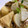 yamami100's cooksnap of when they made 蕪と筍の煮物☆鶏ひき肉のあんかけ.