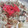 Apple_Home's cooksnap of when they made 千切りｷｬﾍﾞﾂのお好み焼き風.
