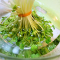 アイリッシュショコラ's cooksnap of when they made ＊便利＊ かいわれの洗い方.