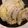 ☆hironon☆'s cooksnap of when they made ～簡単豚肉と白菜のレンジ蒸し～.