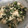 みゅあさん's cooksnap of when they made 豆腐と大根葉の白だしそぼろ.