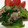 クック88OPFH☆'s cooksnap of when they made 【簡単】豚バラとわさび菜の柚子胡椒炒め.