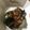 クック00N8WZ☆'s cooksnap of when they made ナスとひき肉の味噌炒め.