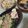 しゅうう's cooksnap of when they made なばなとアンチョビの冷麦.