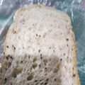 しじみきゃんこ's cooksnap of when they made ダイエットにいい？もち麦パン.