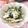 arippy's cooksnap of when they made パクチーとろろ.