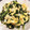クック26352G☆'s cooksnap of when they made ほうれん草とエリンギのバター炒め.