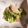 ばやし's cooksnap of when they made ギョニソとレタスのスイチリマヨサラダ。.