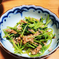クック0RD6YP☆'s cooksnap of when they made 簡単!!豆苗とツナの醤油炒め.