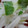 サカエルコ's cooksnap of when they made 大根とみつばのサラダ.