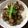 みちコロ's cooksnap of when they made 男子ががっつく豚バラ茄子丼.