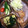 マサプリ's cooksnap of when they made 簡単！ほうれん草のアボカド和え♪.