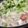 ゆるмαмα's cooksnap of when they made まろやかミルク麻婆豆腐.